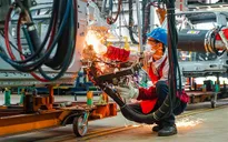 OECD dự báo kinh tế Việt Nam tăng trưởng 4,9% năm 2023