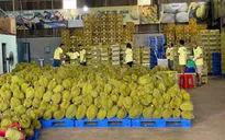 2 nhóm hàng xuất khẩu “tỷ đô” trong 8 tháng