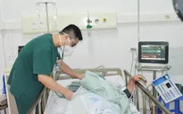 Cảnh báo biến chứng sốc do sốt xuất huyết đe dọa tính mạng