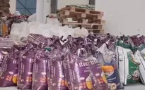 Nông dân Thái Lan đẩy mạnh trồng lúa khi giá gạo tăng cao