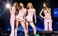 Truyền thông Hàn đưa tin Rosé (BLACKPINK) là thành viên duy nhất tái ký hợp đồng với YG