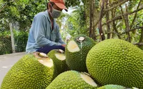 Kim ngạch xuất khẩu tăng tháng thứ 4 liên tiếp