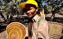 Tìm thấy thi thể người đàn ông đi lạc trong Vườn Quốc gia Cát Tiên