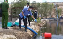 Bà Rịa-Vũng Tàu: Xử phạt hơn 1,5 tỷ đồng một công ty chuyên xử lý chất thải