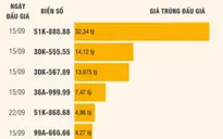 Những biển số ô tô được trả giá cao nhất thông qua đấu giá trực tuyến