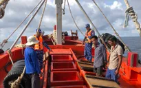 Bắt giữ 2 tàu cá vận chuyển 260.000 lít dầu DO trái phép trên biển