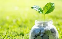 Giải pháp nào để huy động tài chính cho tăng trưởng xanh?
