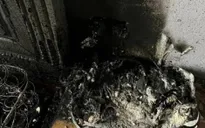 Cháy nhà nghi do chập sạc điện thoại ở Hà Nội