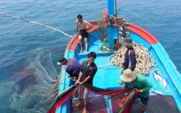 Bộ Tư lệnh Hải quân kiểm tra kết quả thực hiện IUU