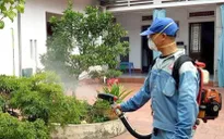 Tử vong do sốt xuất huyết cao nhất trong các bệnh truyền nhiễm