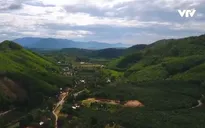 Làng Bác Hồ của đồng bào Raglai