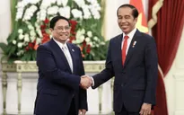 Thủ tướng hội kiến Tổng thống Indonesia