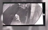 TP Hồ Chí Minh: Nhiều ghế đá bị xịt sơn quảng cáo cá độ