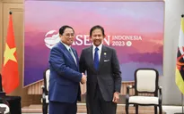 Quan hệ Việt Nam và Brunei phát triển ấn tượng