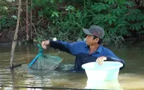 Cặp lá yêu thương: Rổ cá của ba