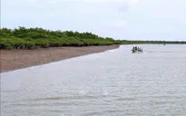 Điều tra việc hút cát, chặt phá cây tại Vườn Quốc gia Xuân Thủy