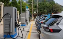 Bộ GTVT đề xuất miễn, giảm lệ phí trước bạ, phí cấp biển cho ô tô điện