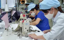 Đơn hàng của nhiều doanh nghiệp xuất khẩu tăng trở lại