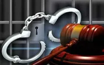 Khởi tố vụ án đưa - nhận hối lộ tại Chi cục Thú y Vùng VI