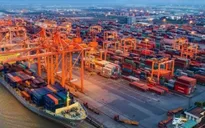 Hợp tác kinh tế: Điểm nhấn trong quan hệ Việt Nam - Hoa Kỳ