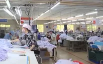 Gia tăng đơn hàng dệt may, da giày
