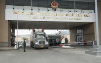 Tấp nập xuất nhập khẩu hàng hóa ngày đầu năm mới