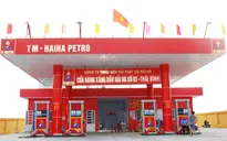 Thu hồi giấy phép kinh doanh xăng dầu của Hải Hà Petro