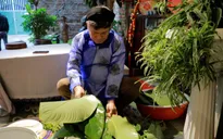 Trải nghiệm gói bánh chưng và thưởng tranh ngày Tết theo lối truyền thống