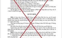 Giả mạo văn bản giao đất rừng cho doanh nghiệp