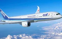 Nhật Bản: Nứt cửa sổ buồng lái khi đang bay, máy bay chở 65 người quay đầu