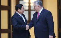 Ngày càng có nhiều doanh nghiệp Hungary đầu tư, kinh doanh ở Việt Nam