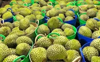 Sầu riêng xuất sang EU phải kiểm tra dư lượng thuốc trừ sâu
