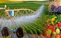 Việt Nam phấn đấu là trung tâm chế biến sâu của nông nghiệp thế giới