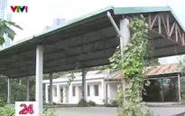 Hà Nội: Chợ cóc tấp nập, chợ mới tiền tỷ bỏ hoang, cỏ mọc ngập lối đi