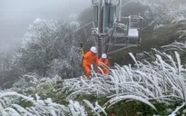 "Gõ, gạt từng lớp băng dày" để đảm bảo truyền tải điện