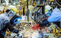 Al sẽ định hình lại nhiều lĩnh vực của kinh tế Việt Nam