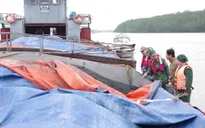 Hải Phòng bắt giữ tàu chở hơn 1.200 tấn than không rõ nguồn gốc