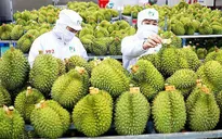 Tăng cường kiểm soát để giúp nông sản Việt "vươn xa"