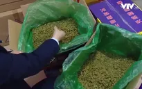Nhiều hàng hóa, bánh kẹo không rõ nguồn gốc trà trộn thị trường Tết