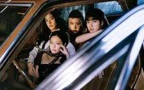 BLACKPINK không tái ký hợp đồng cá nhân, cổ phiếu YG tiếp tục sụt giảm
