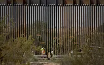 Bức tường biên giới Mỹ - Mexico đe dọa động vật hoang dã