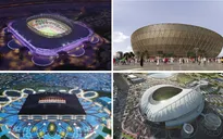 7 sân bóng tại World Cup 2022 được dùng để tổ chức Asian Cup 2023