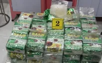 Phá đường dây ma túy xuyên quốc gia, thu giữ 290kg ma túy các loại