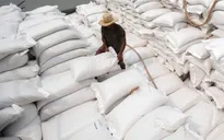 Xuất khẩu gạo đạt kỷ lục gần 8,3 triệu tấn