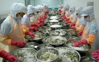 Shrimp exports to reach 3.4 bln USD in 2023: Association