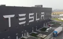 Giới bán khống thua lỗ lớn từ cổ phiếu Tesla