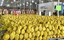 Kết nối để bứt phá: “Tây Nguyên vào xuân”