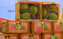 Xuất khẩu hàng hóa cả nước tháng đầu năm 2024 đạt 33,6 tỷ USD