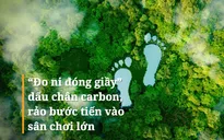 “Đo ni đóng giầy” dấu chân carbon, rảo bước tiến vào sân chơi lớn
