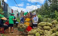 Xuất khẩu tăng từ đầu năm mới